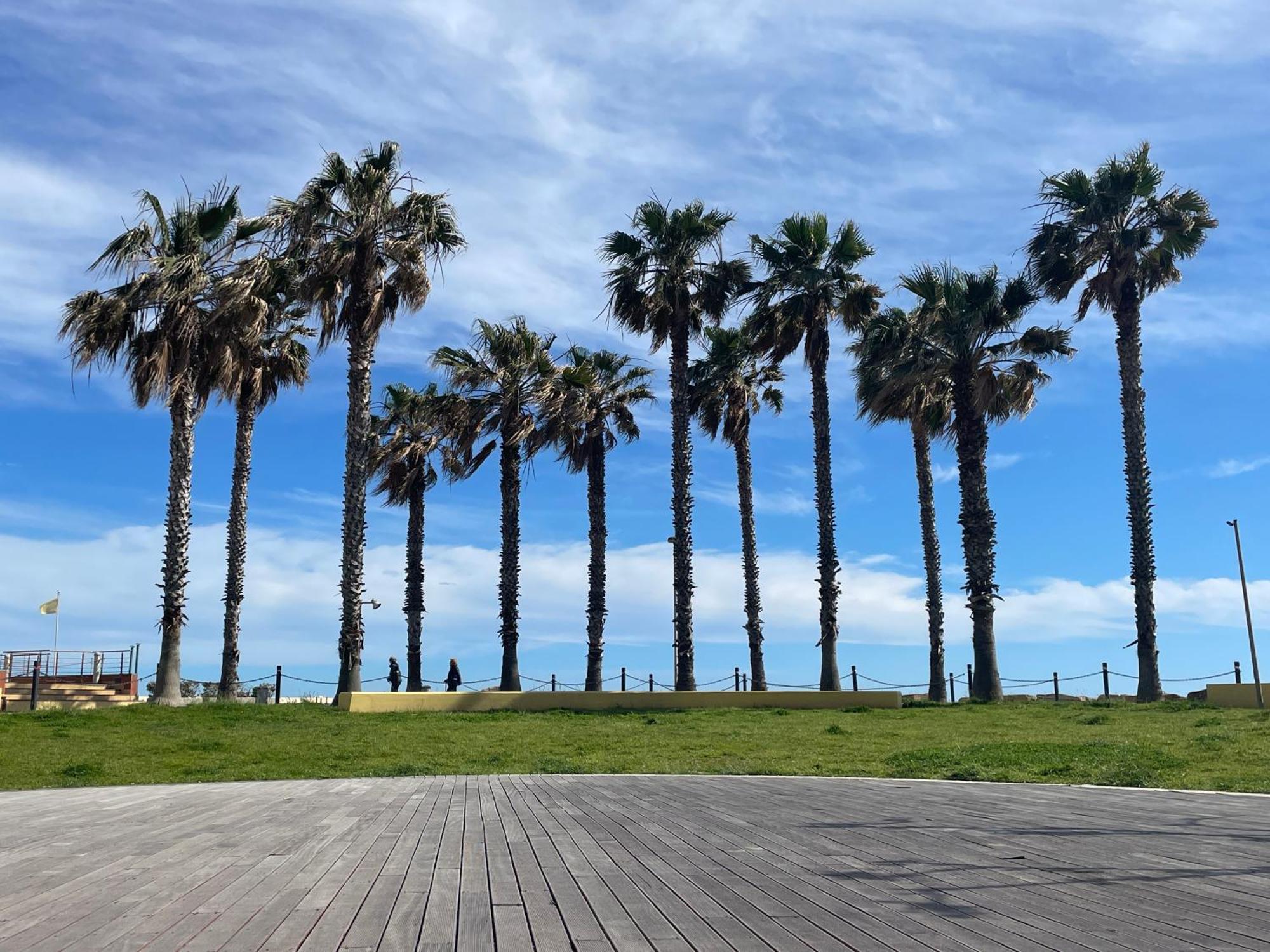 Apartament Casa Del Cardinale Santo Stefano al Mare Zewnętrze zdjęcie